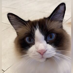 Meet your Posher, Ana